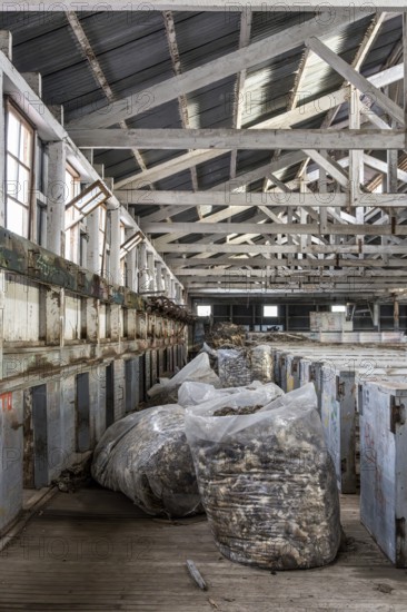 Semi-packaged wool for export, Estancia San Gregorio, Puente Alto, Metropolitan Region, Chile,