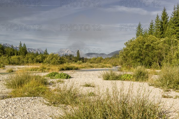 Isar valley nature conservancy area on an early sunny morning. The wild Isar river flows through