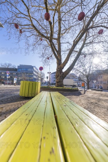 Oblique perspective of a green bench under a tree in sunshine, Sindelfingen, Böblingen district,