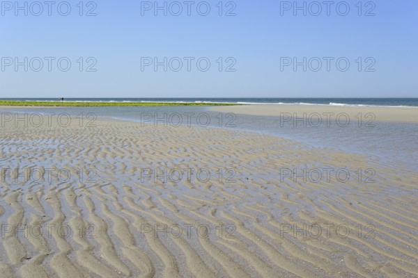 Beach at low tide with wave-like structure, current ripples in wet sand, blue sky, North Sea,