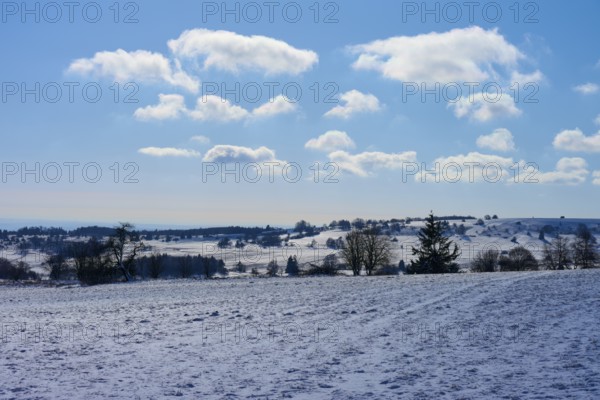 Bright winter landscape with clouds and a clear blue sky over snow-covered fields, Winter,
