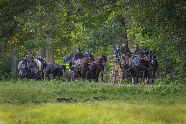 Presentation and route ride, all carriages in stylish tension, popular sporting event over approx.