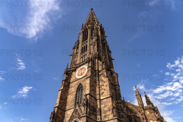 Freiburg Minster, Freiburg im Breisgau, Black Forest, Baden-Württemberg, Germany, Europe