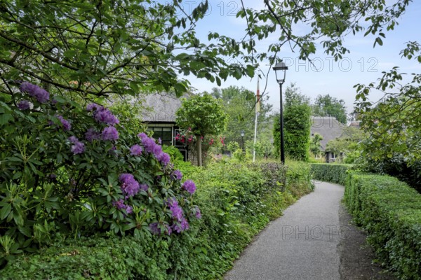 Idyllic garden path surrounded by flowering shrubs and rich vegetation, Giethoorn, municipality of