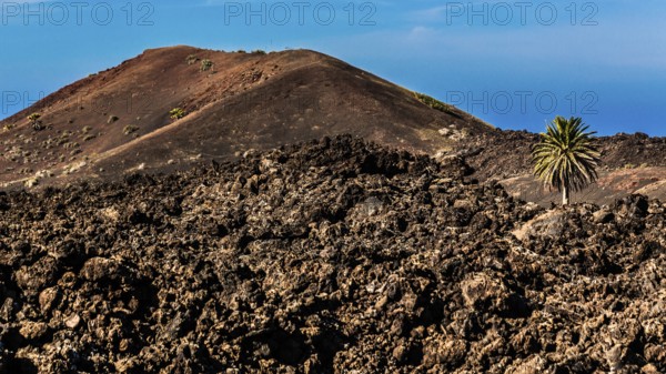 2016, Timanfaya National Park, Lanzarote, Fire Mountains of Timanfaya National Park, Montanas del