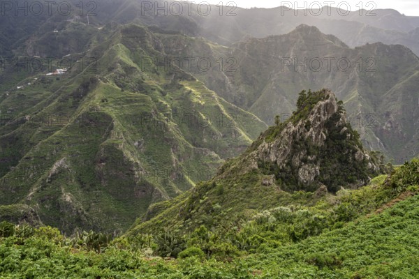 Landscape along the hiking trail from Punta del Hidalgo to Chinamada, Tenerife, Canary Islands,