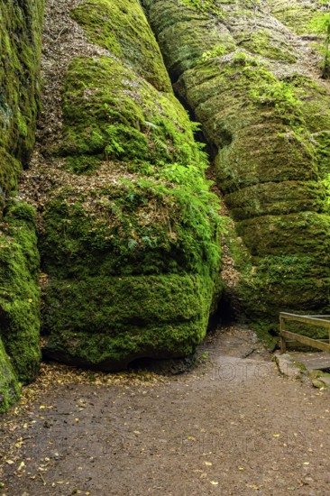 The Dragon Gorge, a gorge and geological natural monument and nature reserve in the Marienschlucht