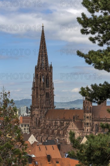 City of Freiburg im Breisgau, Church, Freiburg Minster, Germany, Europe
