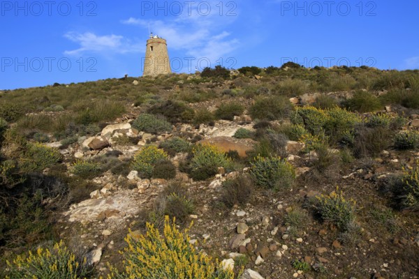 Torre Vigia de los Lobos watchtower, Rodalquilar, Cabo de Gata natural park, Almeria, Spain, Europe