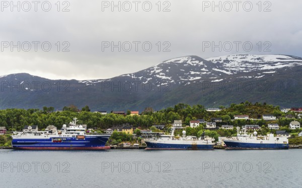 Ships in the fjord, ALESUND, Geirangerfjord, Fjords, Norway, Europe