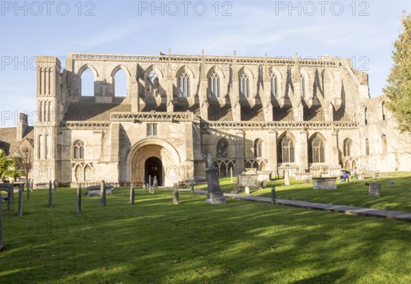 Malmesbury abbey church, Malmesbury, Wiltshire, England, UK