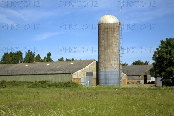 Tower silos grass storage silo in farm yard, Wickham Market, Suffolk, England, United Kingdom,