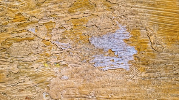 Background, old paint, texture, wood, yellow, uneven surface, mobile photo, wallpaper