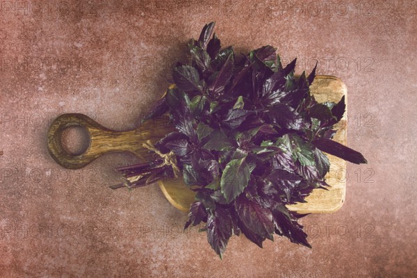 Fresh bouquet of purple basil, top view, on a brown background