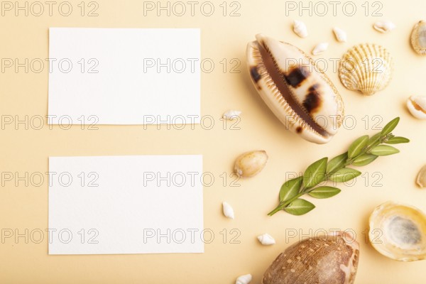 Composition of white paper business cards, seashells, green boxwood. mockup on orange background.