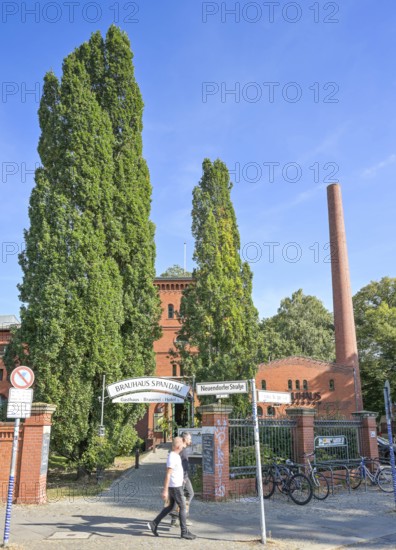 Brauhaus Spandau, Neuendorfer Straße, Spandau, Berlin, Germany, Europe