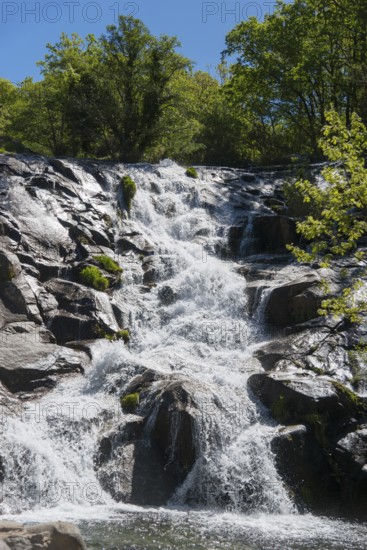 Wild water flows over staggered rocks in the middle of a green forest on a bright summer day,
