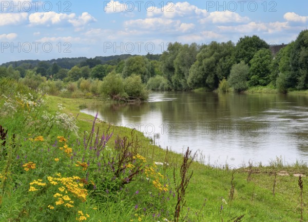 Natural landscape on the Weser Rinteln Germany