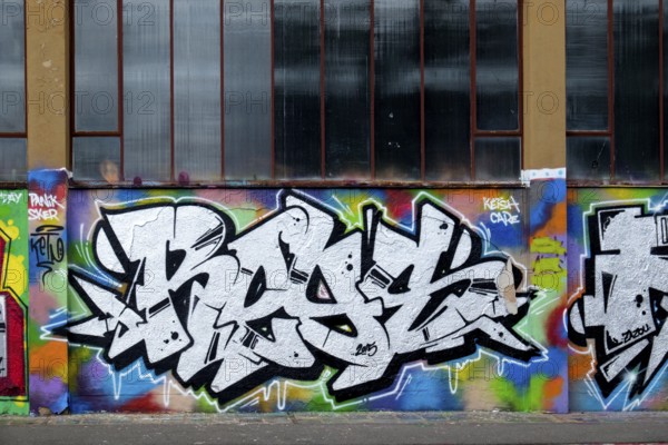 Graffiti art in dominant black and white tones with colourful accents, Landau,