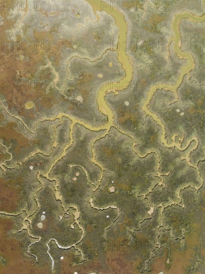 Network of channels and streams at low tide. In the marshland of the Piedras River. Aerial view.