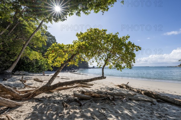 Idyllic tropical sandy beach, Playa Escondida, Sun Star, Manuel Antonio National Park, Puntarenas