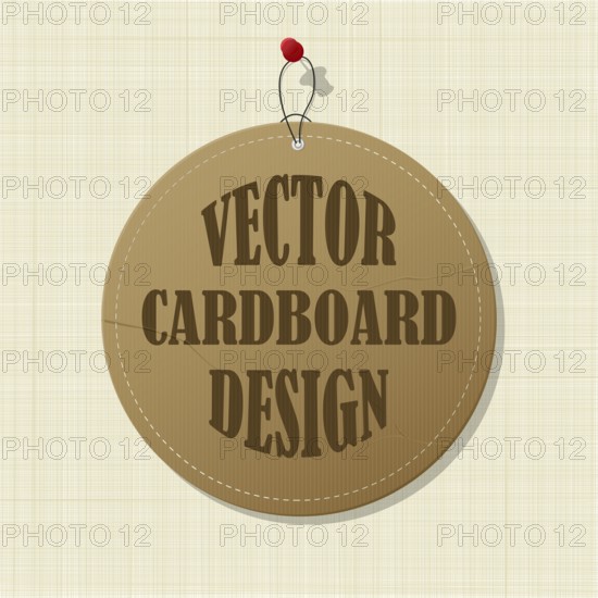 Editable cardboard label pinned over canvas, copy space vector template