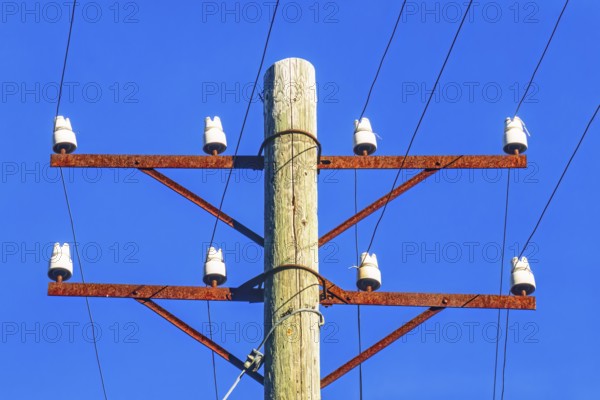 Old telephone pole with white porcelain insulators against a blue sky, Sweden, Europe