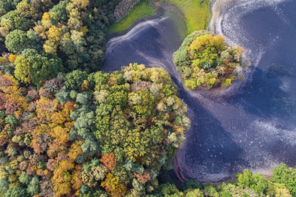 Mixed forest in autumn, colouring, aerial view, forest, autumnal, Ahlhorn fish ponds,