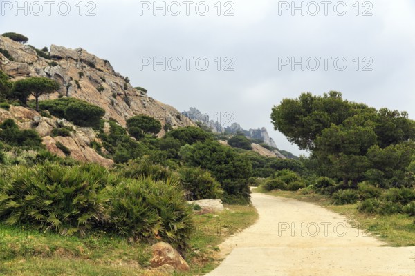 Hiking trail in the nature park, Parque Natural del Estrecho, Strait of Gibraltar, Costa de la Luz,