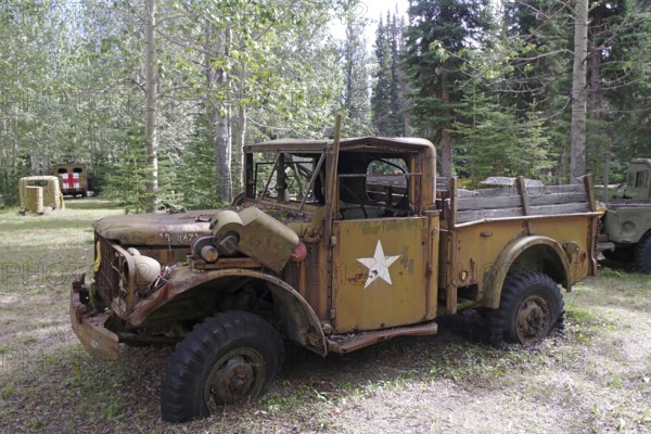 A rusty old army vehicle from the 1940s with a star, surrounded by trees in a forest, former army