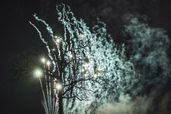 Tree fireworks