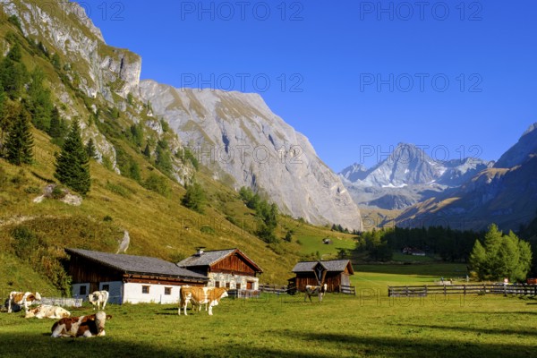 Huteralmen with Großglockner, Hohe Tauern, Ködnitztal, Kals am Großglockner, East Tyrol, Austria,