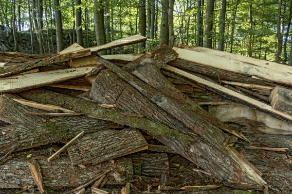 Pile of tree bark, bark, wood from cutting of wooden boards, waste, remains from sawmill, beech
