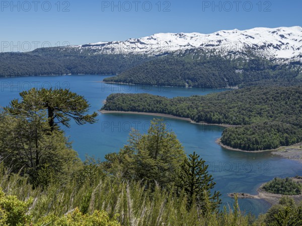 View from hiking trail Sierra Nevada, lake Conguillio, araucaria forest, Conguillio National Park,