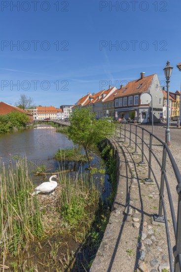 Old town of Nyborg, moat around the medieval town, restored, historic houses, bright colours, reed
