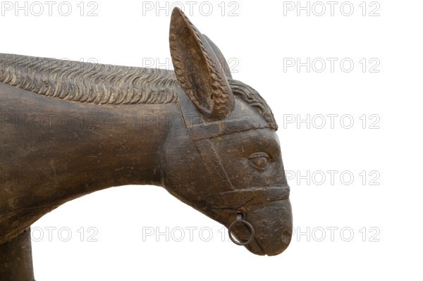 Head of the donkey, detail of the palm donkey, around 1500, on a white background, Zeppelin Museum,