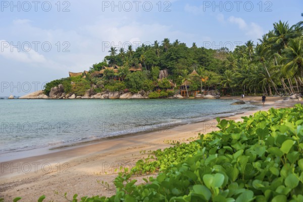 Sairee beach, beach, island, holiday island, tropical, tropics, holiday paradise, landscape,