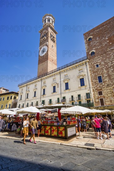 Torre dei Lamberti, Piazza delle Erbe, Verona, Veneto, Italy, Europe