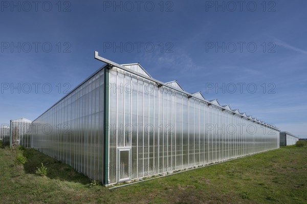 Modern greenhouses in Knoblauchsland, Germany's largest vegetable growing area near Nuremberg,