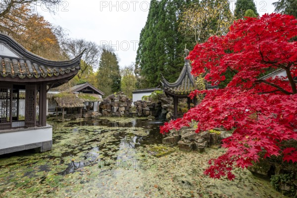 The Botanical Garden of the Ruhr-University Bochum, in the district Bochum-Querenburg, North