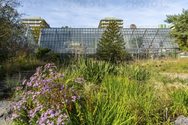 The Botanical Garden of the Ruhr University Bochum, in the district of Bochum-Querenburg, North