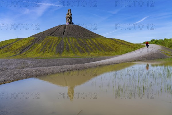 Cyclist on the Rheinelbe spoil tip in Gelsenkirchen, 100 metre high spoil tip, landscape park, with