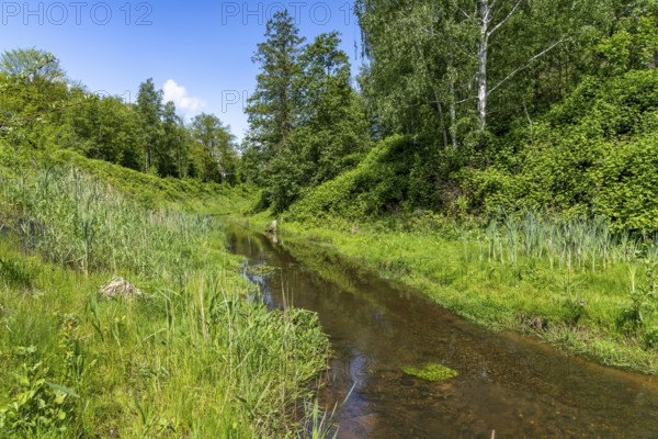The Boye, stream, runs for 13.8 km through the cities of Gladbeck, Bottrop (photo) and Essen, a
