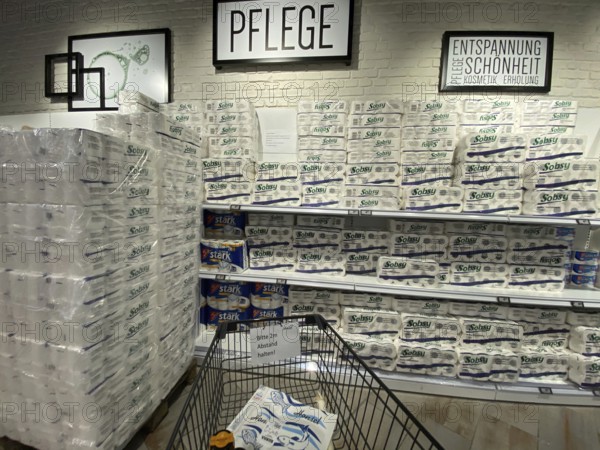 Full shelves of toilet paper in a supermarket in Dorsten, effects of the corona crisis in Germany