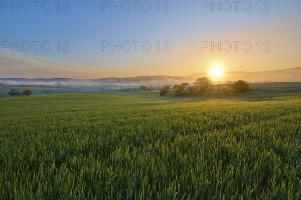 A picturesque sunrise over a wide green field and a gentle hilly landscape, Mönchberg, Mltenberg,