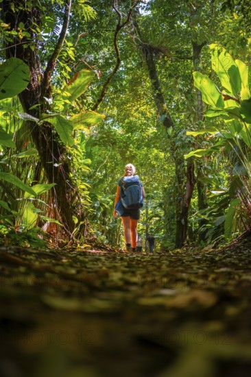 Tourist exploring rainforest, dense vegetation, Tortuguero National Park, Costa Rica, Central