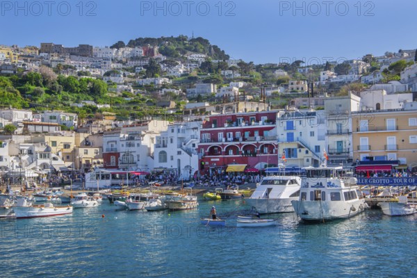 Waterfront at the Marina Grande boat harbour with excursion boats, Capri, Campanian Archipelago,