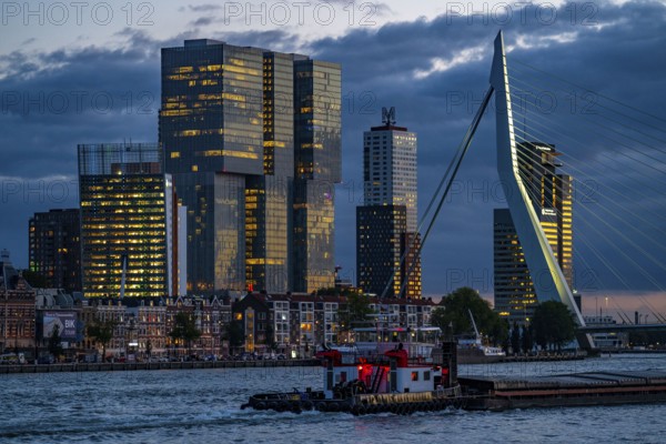 The skyline of Rotterdam, with the Erasmus Bridge over the Nieuwe Maas, skyscrapers in the Kop van