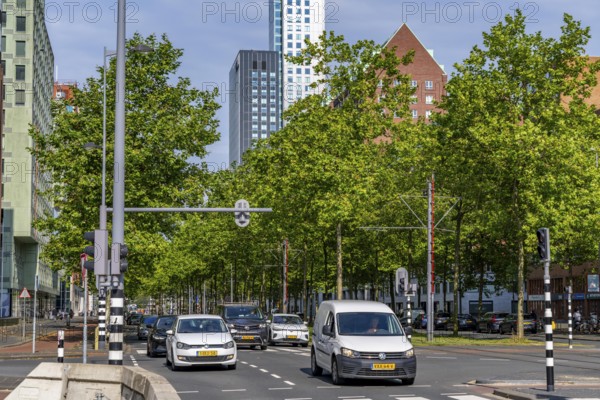 Urban greening, inner-city street Laan op Zuid, in Rotterdam's Feijenoord district, 4 lanes, 2 tram