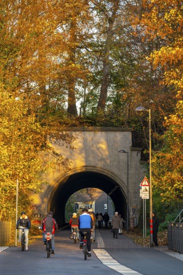 The Nordbahntrasse, a cycle path, footpath, on a former 22 KM long railway line, along the